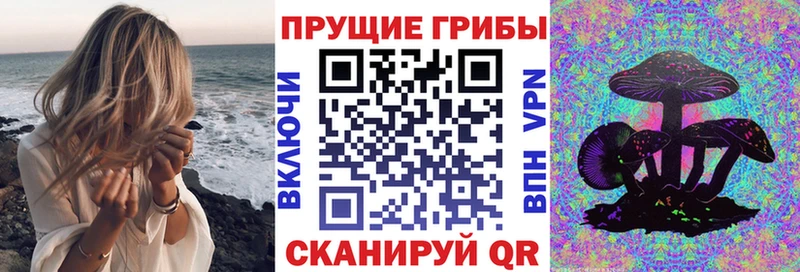 Псилоцибиновые грибы Psilocybine cubensis  купить наркотики цена  Воронеж 